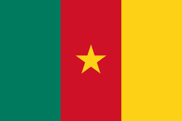 flaga kamerunu
