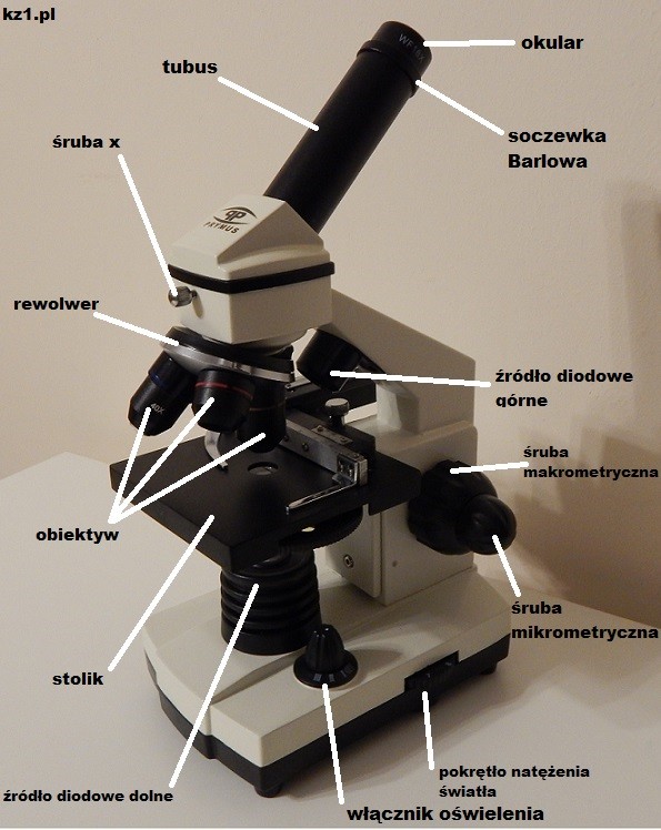 schemat budowy mikroskopu