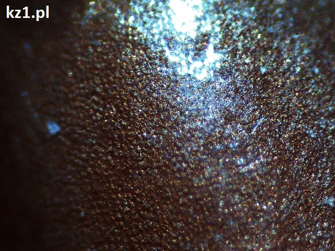 nasiona lnu zwyczajnego pod mikroskopem