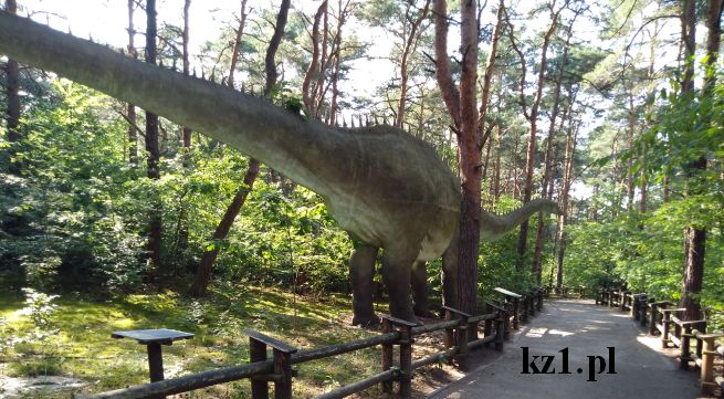 długi dinozaur solec kujawski