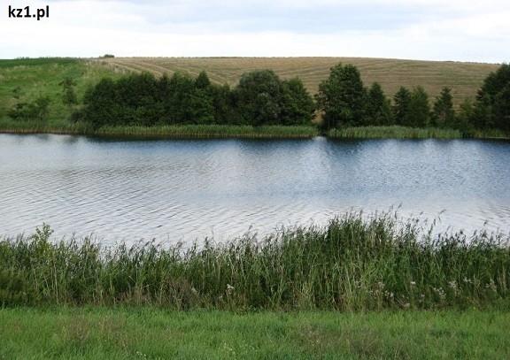 widok na jezioro